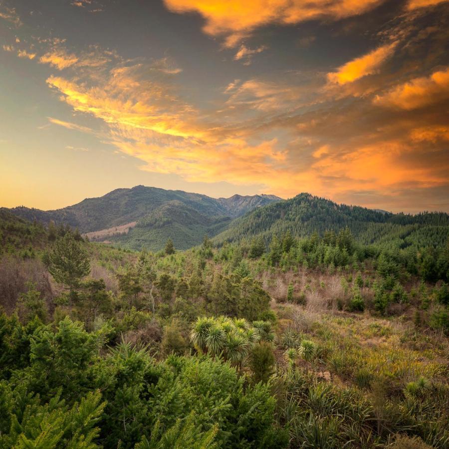 'Love' Hanmer Couples Retreat Limited Hanmer Springs Ngoại thất bức ảnh